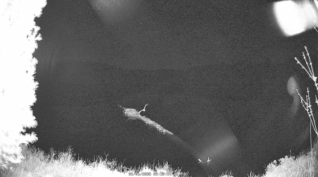 Image from 2025-05-06