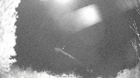 Image from 2025-05-06