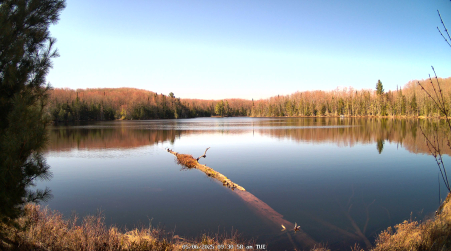 Image from 2025-05-06