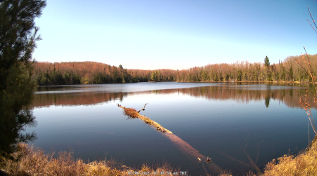 Image from 2025-05-06