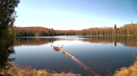 Image from 2025-05-06