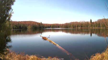 Image from 2025-05-06