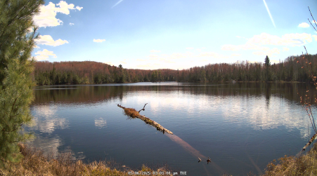 Image from 2025-05-06