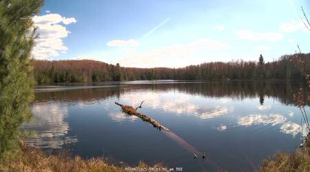 Image from 2025-05-06