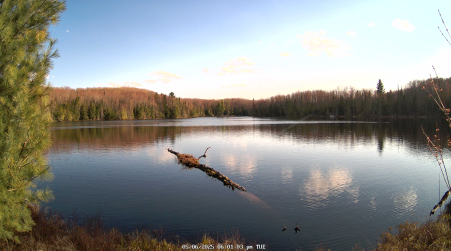 Image from 2025-05-06