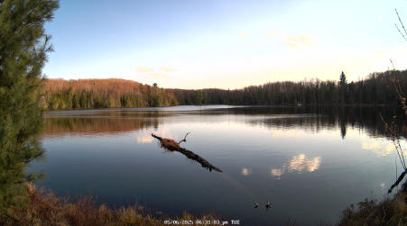Image from 2025-05-06