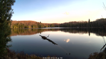 Image from 2025-05-06