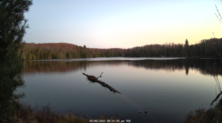Image from 2025-05-06