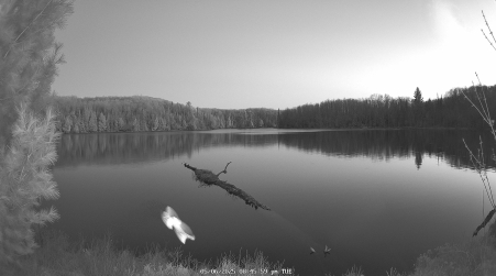 Image from 2025-05-06