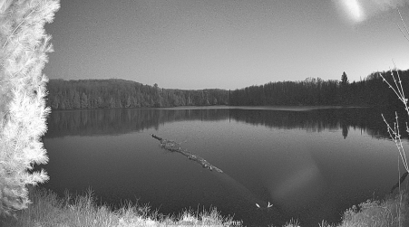 Image from 2025-05-06
