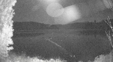 Image from 2025-05-06