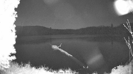 Image from 2025-05-06