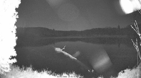 Image from 2025-05-06