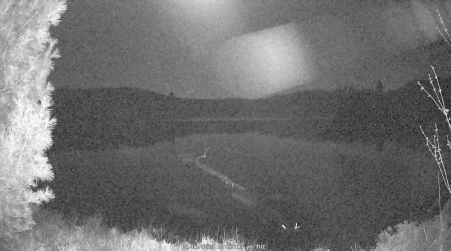 Image from 2025-05-06