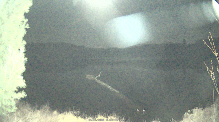 Image from 2025-05-06