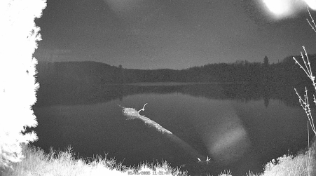 Image from 2025-05-06