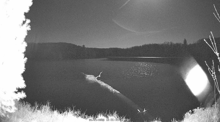 Image from 2025-05-09