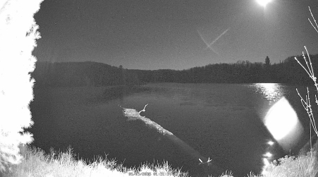 Image from 2025-05-09