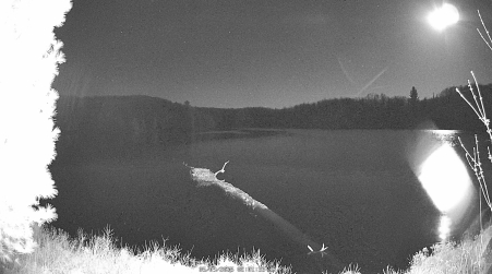 Image from 2025-05-09