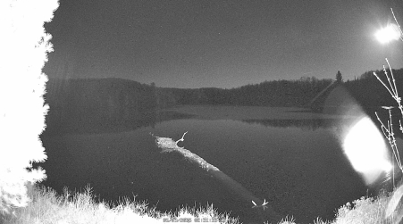Image from 2025-05-09