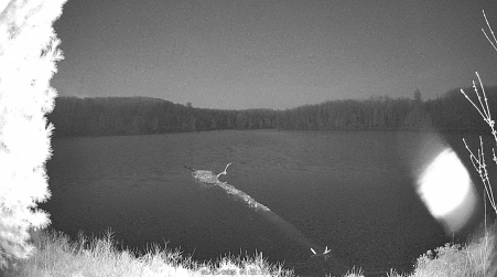 Image from 2025-05-09