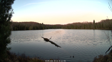 Image from 2025-05-09