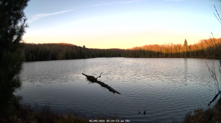 Image from 2025-05-09