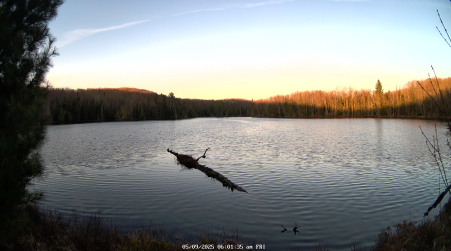 Image from 2025-05-09