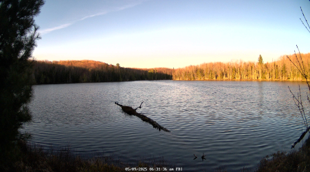 Image from 2025-05-09