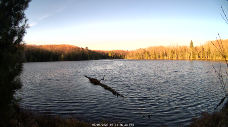 Image from 2025-05-09