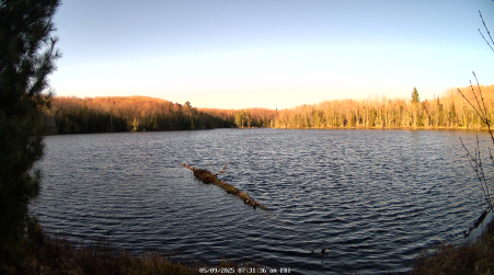 Image from 2025-05-09