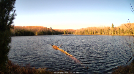 Image from 2025-05-09