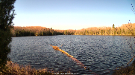 Image from 2025-05-09
