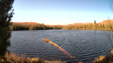 Image from 2025-05-09