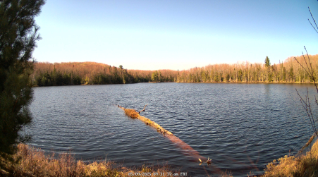 Image from 2025-05-09