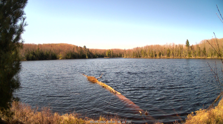 Image from 2025-05-09