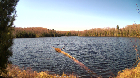 Image from 2025-05-09