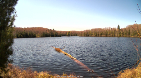 Image from 2025-05-09