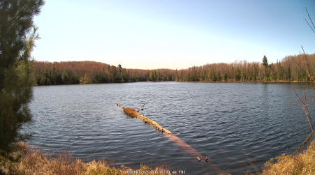 Image from 2025-05-09