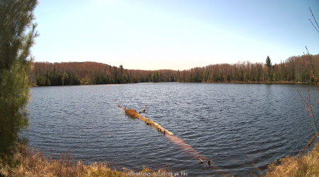 Image from 2025-05-09