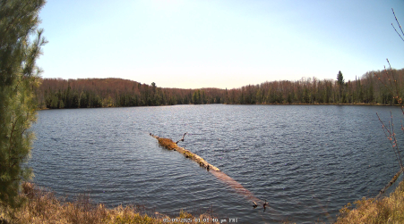 Image from 2025-05-09
