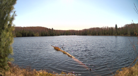 Image from 2025-05-09