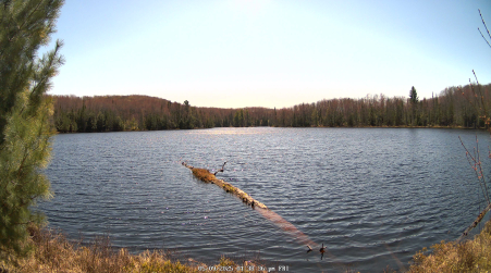 Image from 2025-05-09