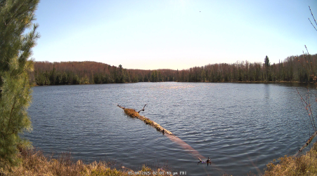 Image from 2025-05-09