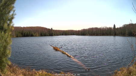 Image from 2025-05-09
