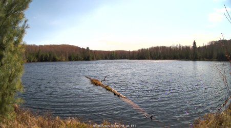 Image from 2025-05-09