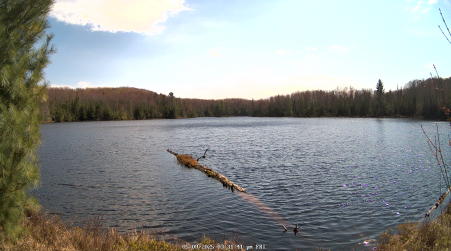 Image from 2025-05-09