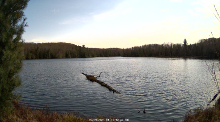 Image from 2025-05-09