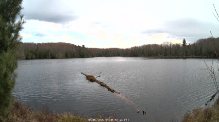 Image from 2025-05-09