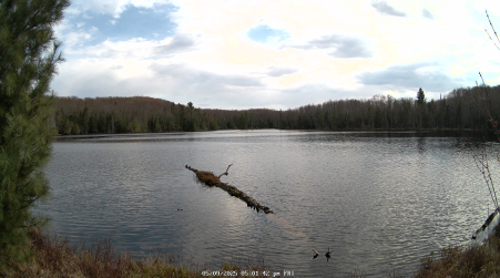 Image from 2025-05-09